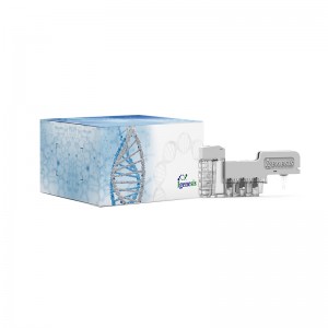 SARS-2-CoV(Covid-19)/Influenza A-virus/Influenza B-virus/Diagnostische kit voor respiratoir syncytieel virus (PCR-fluorescentie)